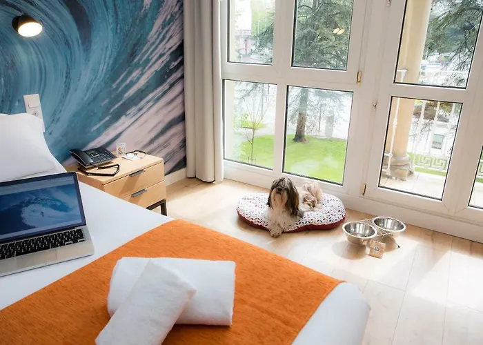 酒店 Casual De Olas 圣塞瓦斯蒂安